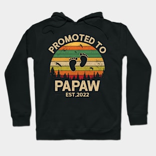 Promoted To Papaw Est 2022 Pregnancy Announcement Vintage Hoodie